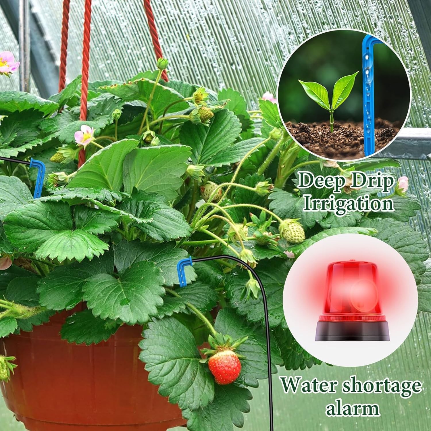 50FT Solar Irrigation System Integrated Irrigation Controller for Garden Balcony