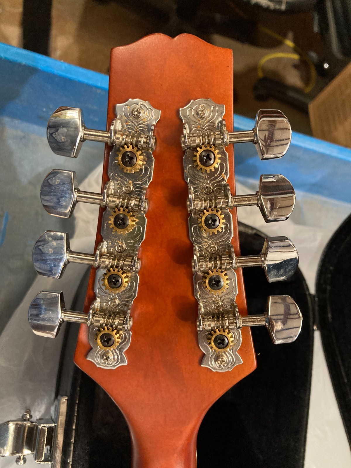 Taurus Mandolin TM-003 (Damaged case, cosmetic damage)