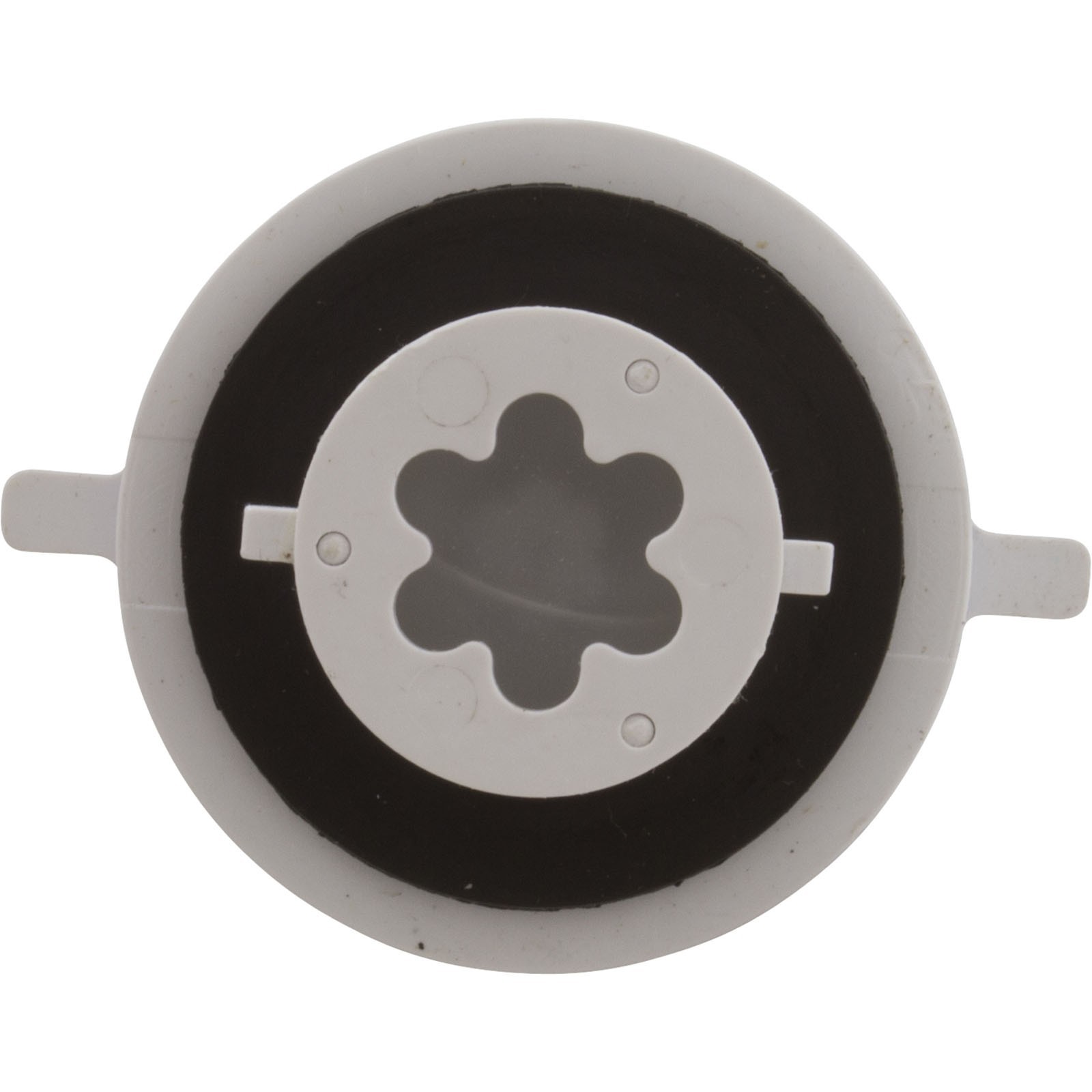 Check Valve Assembly, CMP PowerClean Mini Chlorinator : 25280-000-920