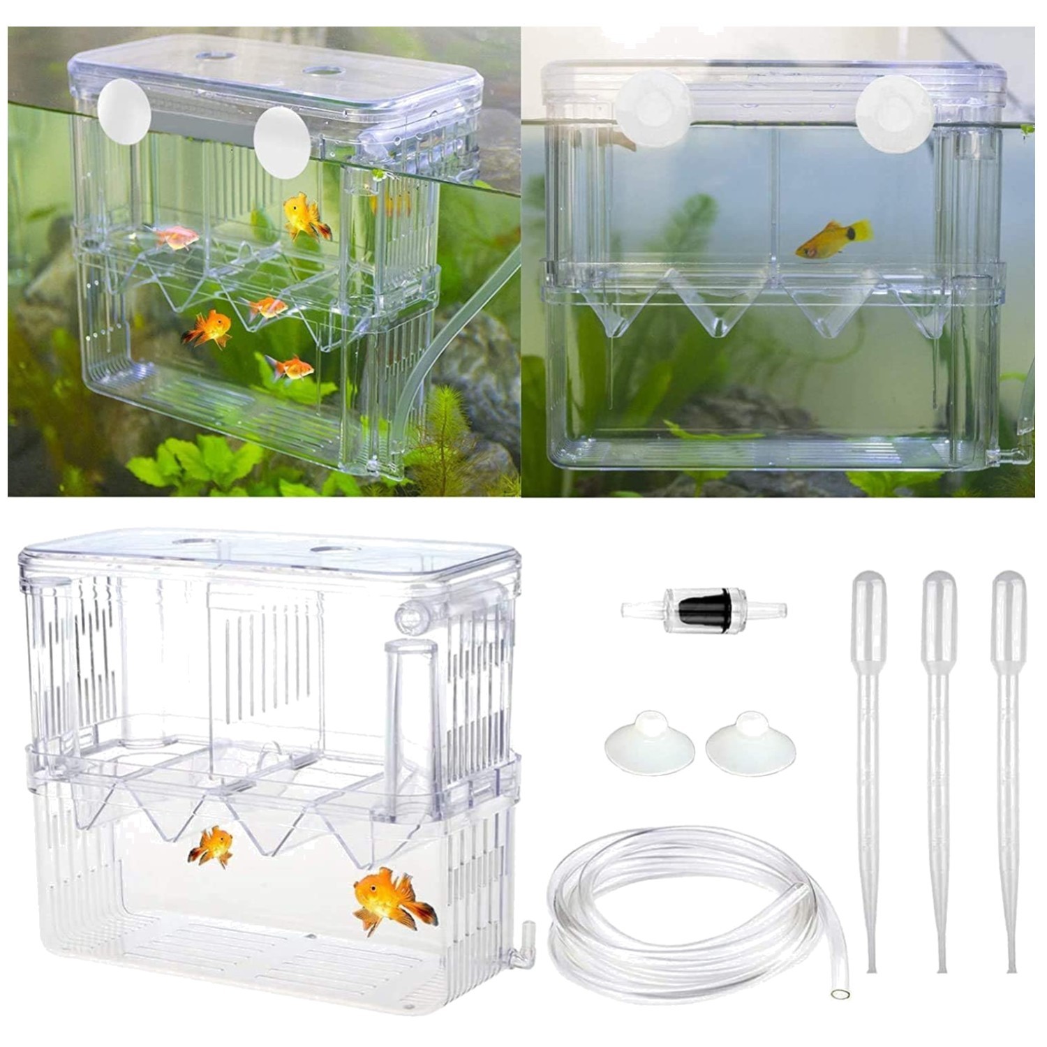 Aesthetic Plastic Fish Breeder Box - Prevent Fish Aggression & Enhance Survival