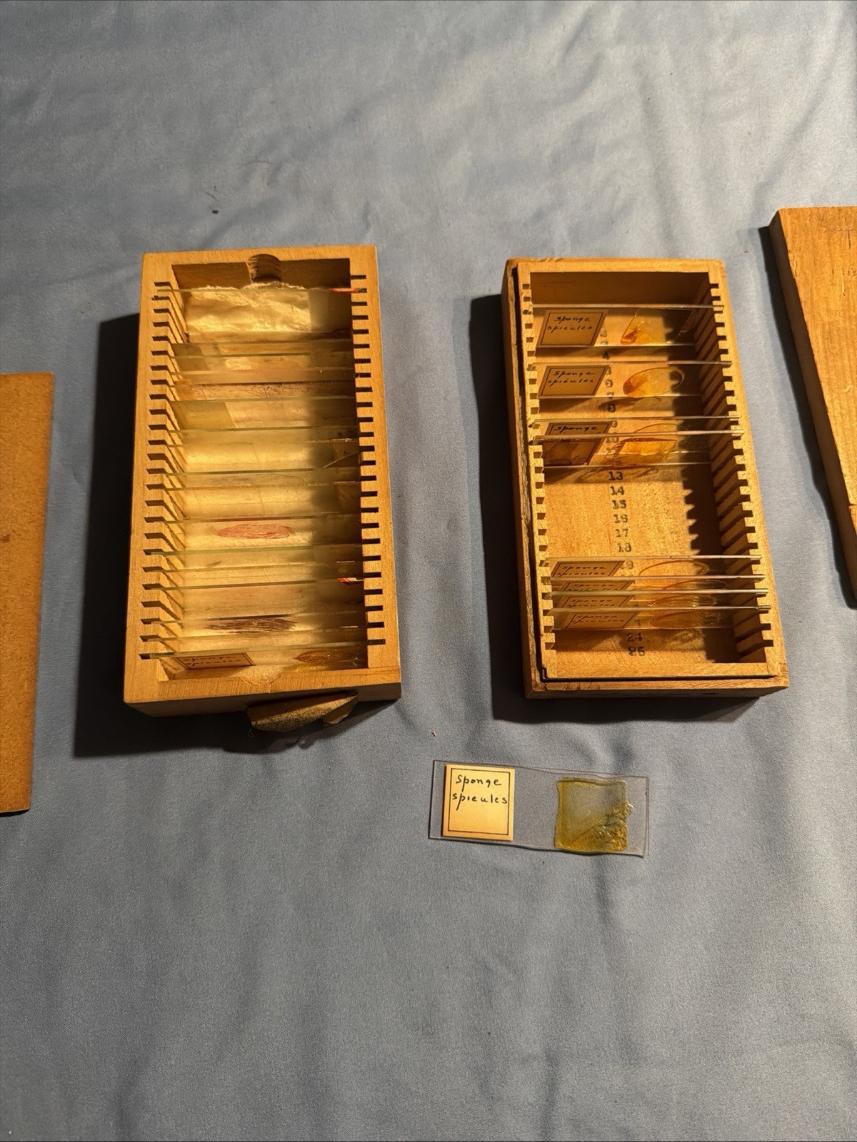 Vintage Microscope Medical Lab Slides
