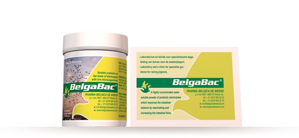 BelgaBac 300gr - probiotic - electrolytes - by Belgica de Weerd