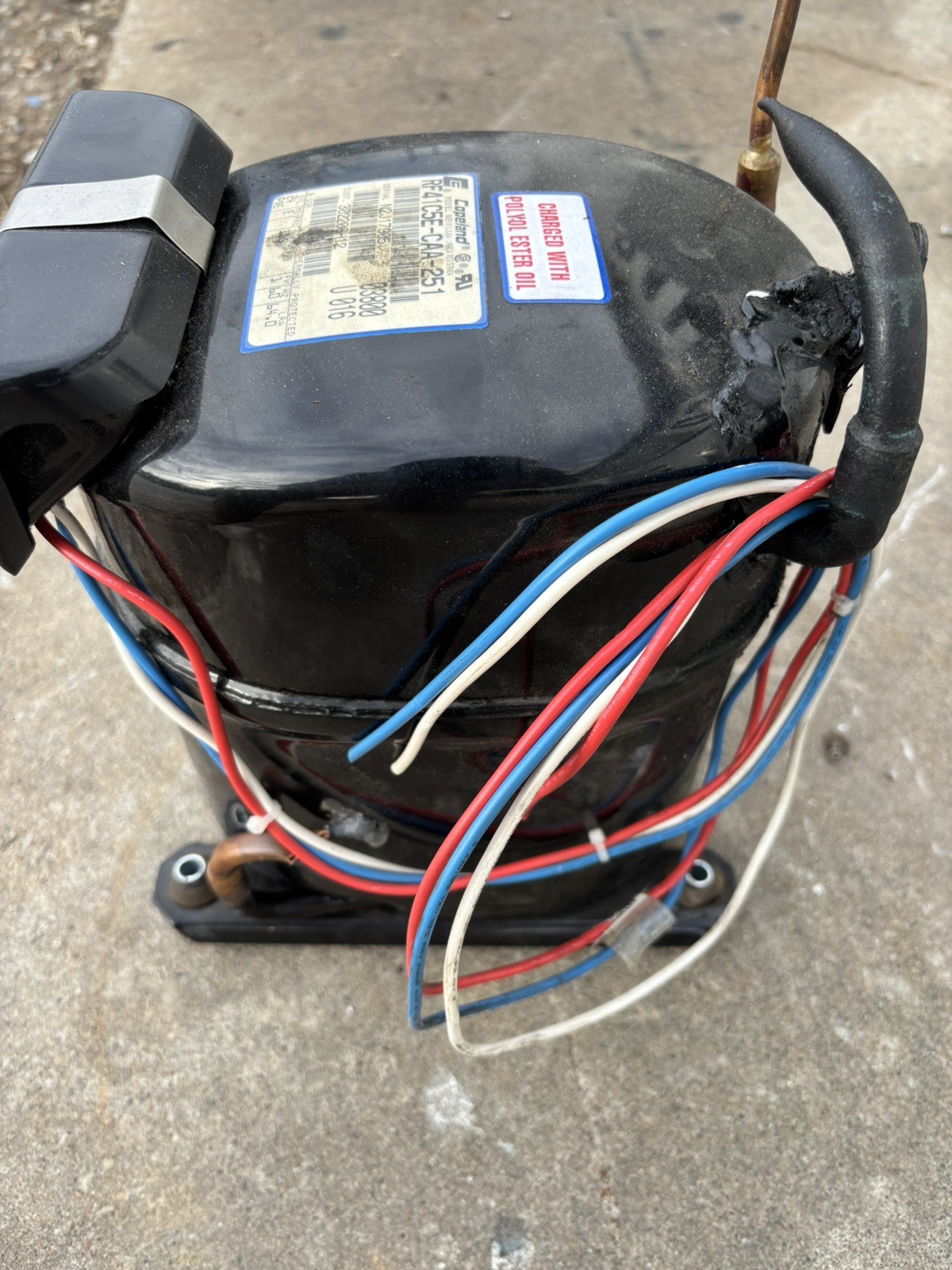 Copeland RF41C5E-CAA-251 Compressor
