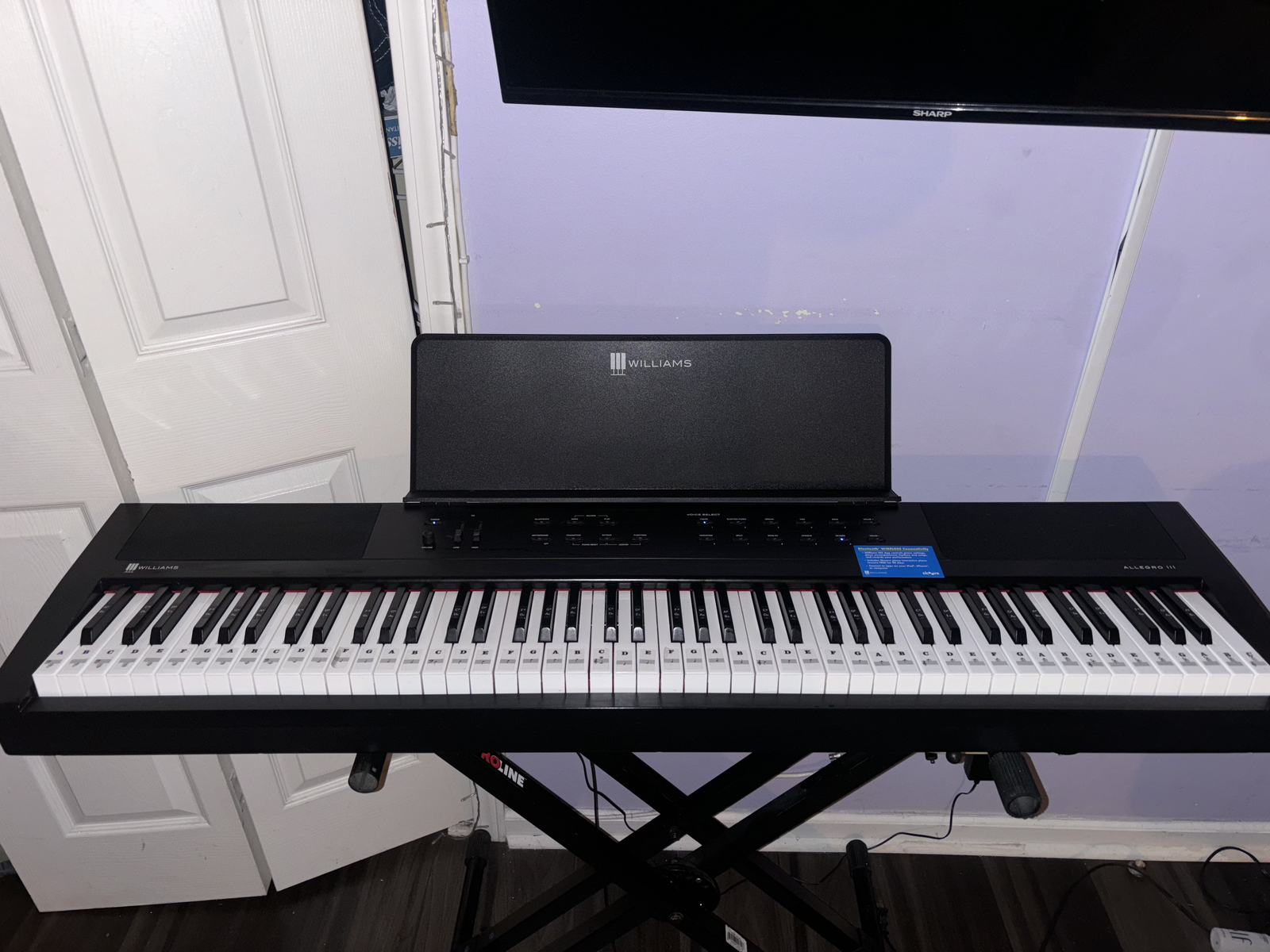 Williams Allegro III 88 Key Digital Piano