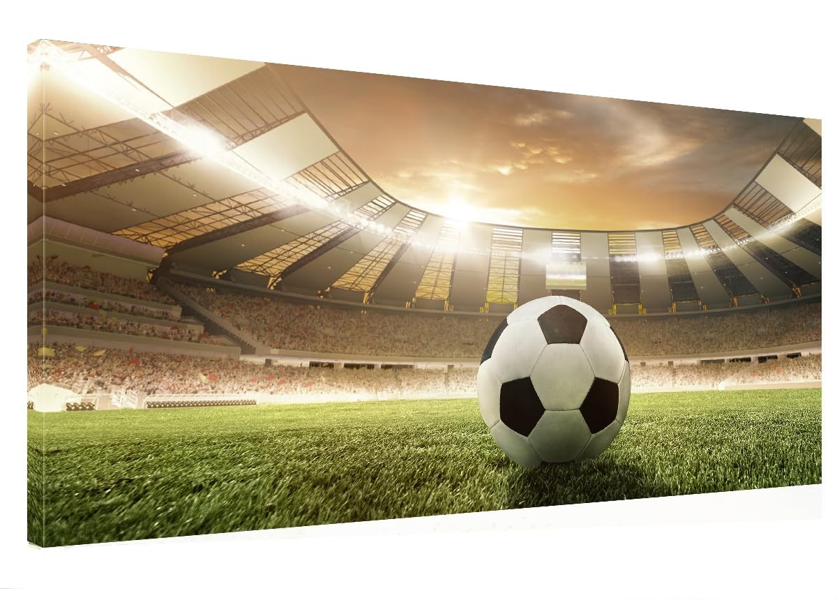 Soccer/Football Sunlight Stadium Canvas 20"L x 40"W, Soccer/ Football