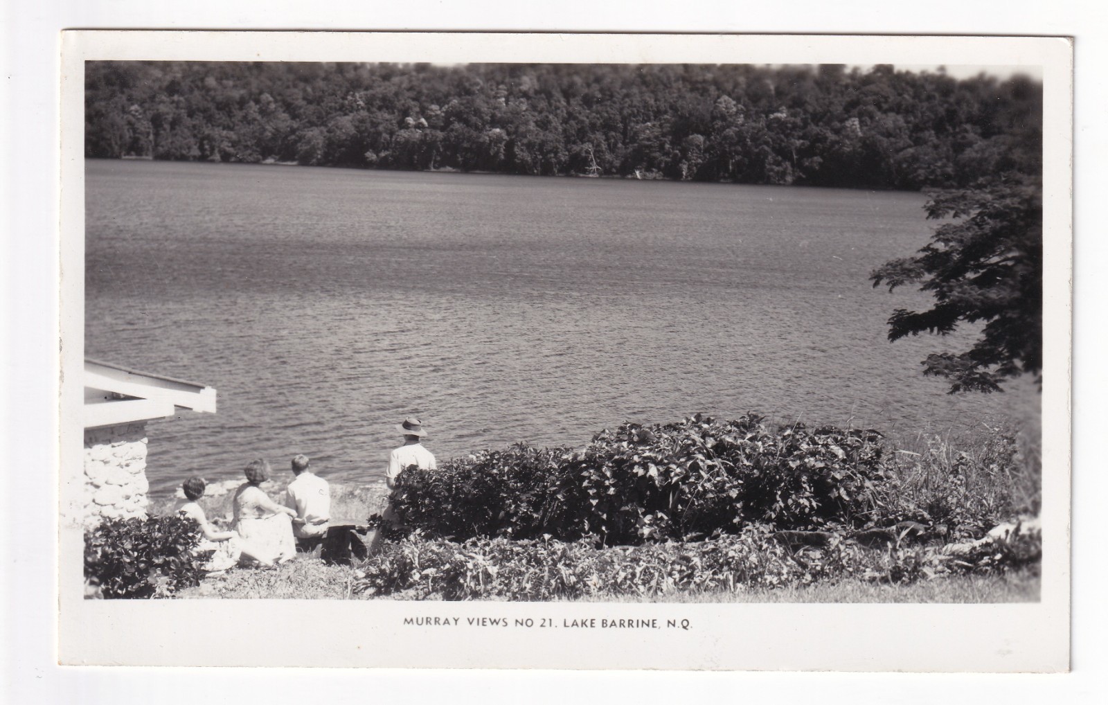 QPC2) Queensland RPPC, Lake Barrine, North QLD, Unused