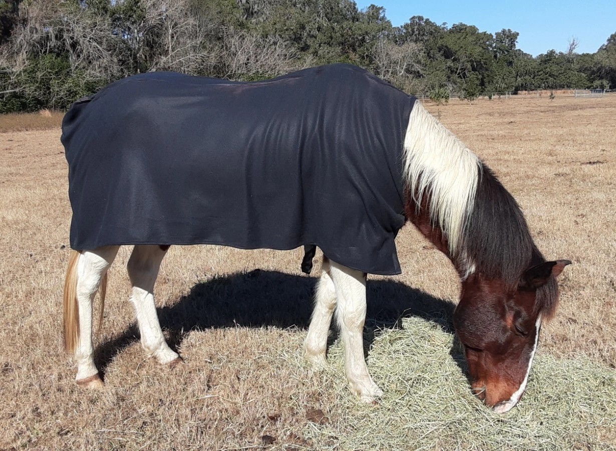 Horse Size Blanket Liner Polar Fleece Sz 65 - 75 " Your Fabric Choice Black Blue