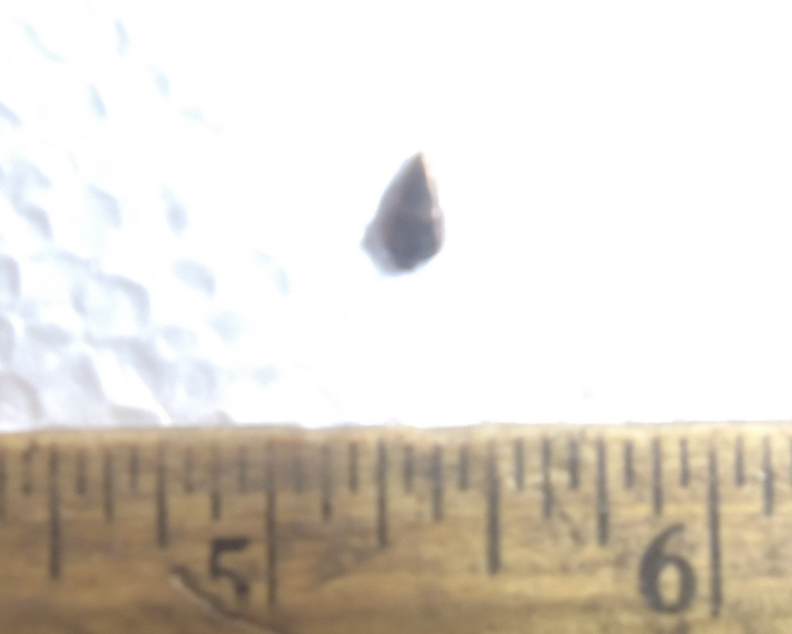 Bronze Arrow Head Ribbon Attachment