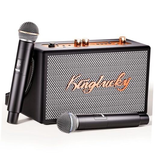 Karaoke Machine for Adults Kids Portable Retro Bluetooth Speaker with 2 3
