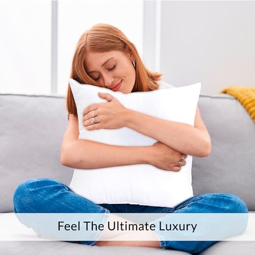 Pack of 2 White 20x20 Pillow Inserts - Down Alternative Throw