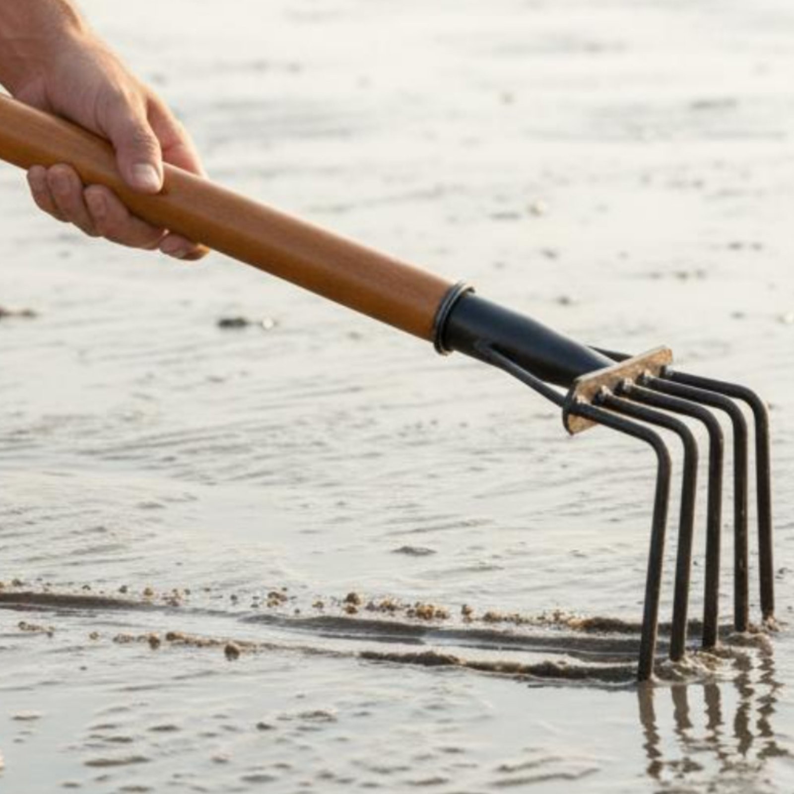 5 Tine Sand and Soil Rake Versatile Gardening Tool Sturdy Duty for Gardeners