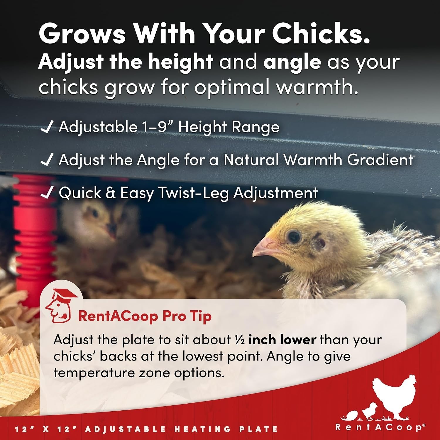 Innovative 12x12” Heating Plate for Chicks - Adjustable and Economical Solution