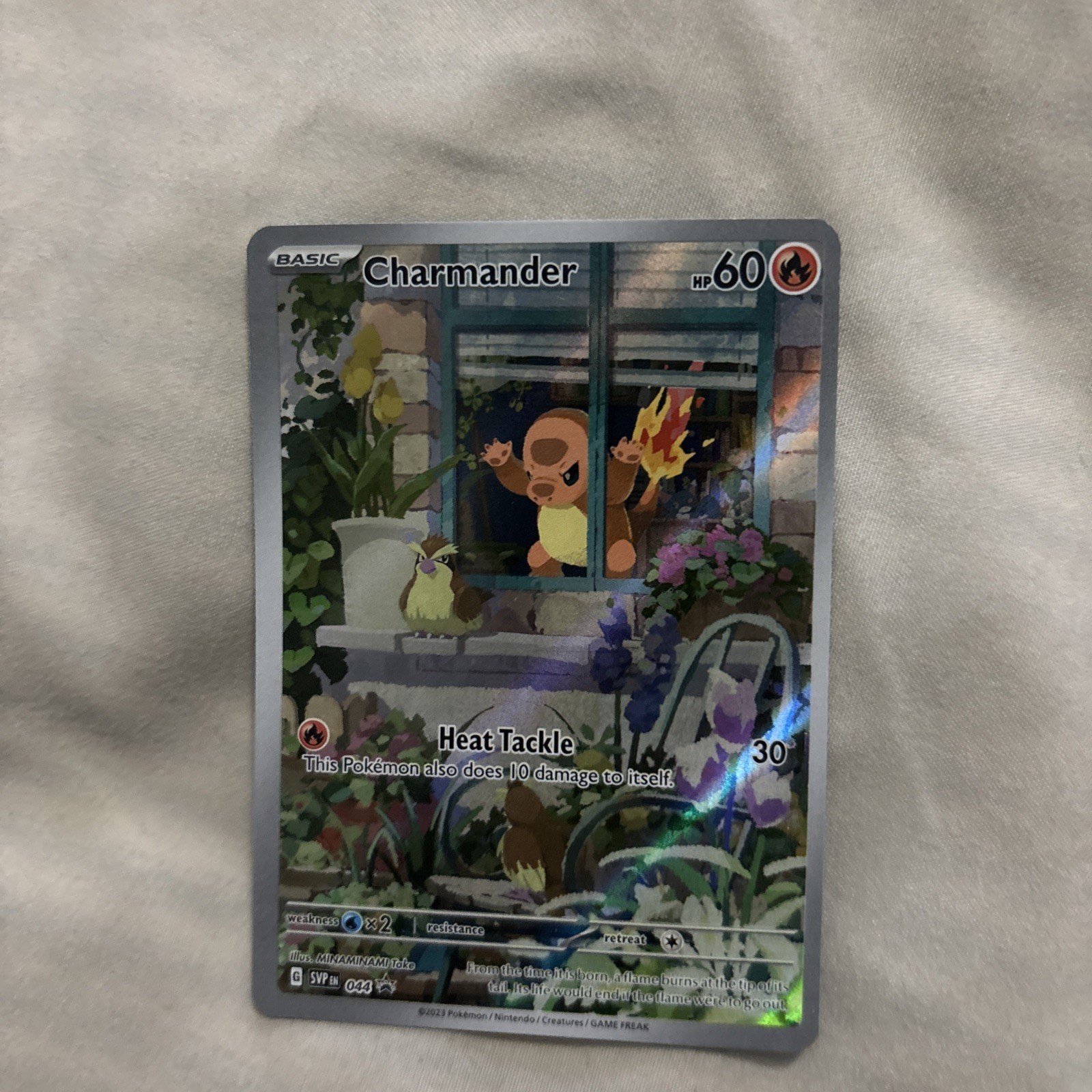 Pokemon Carts