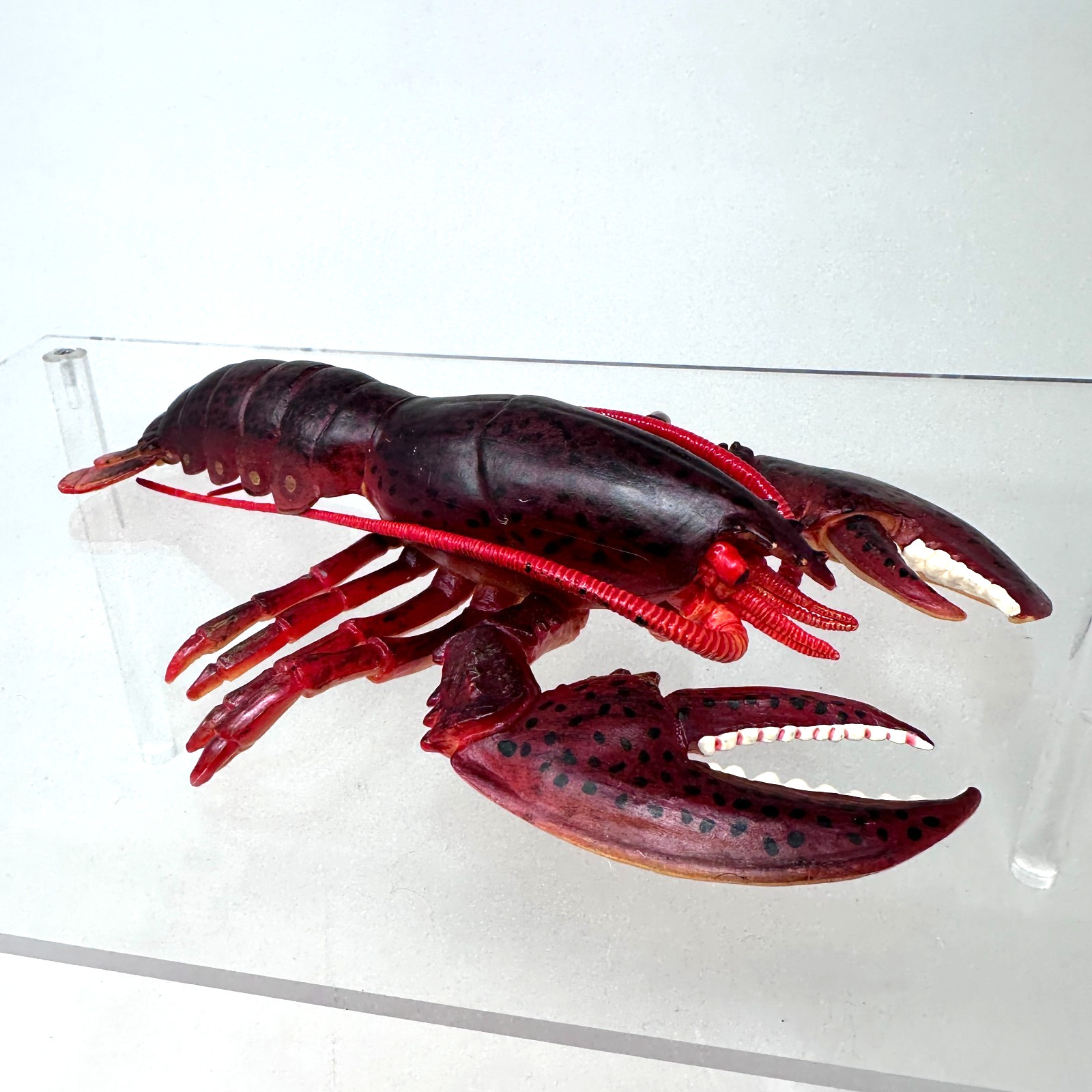 Safari Ltd Lobster Figure Ocean Sea Animal Creature Figurine 9" 2007 Realistic