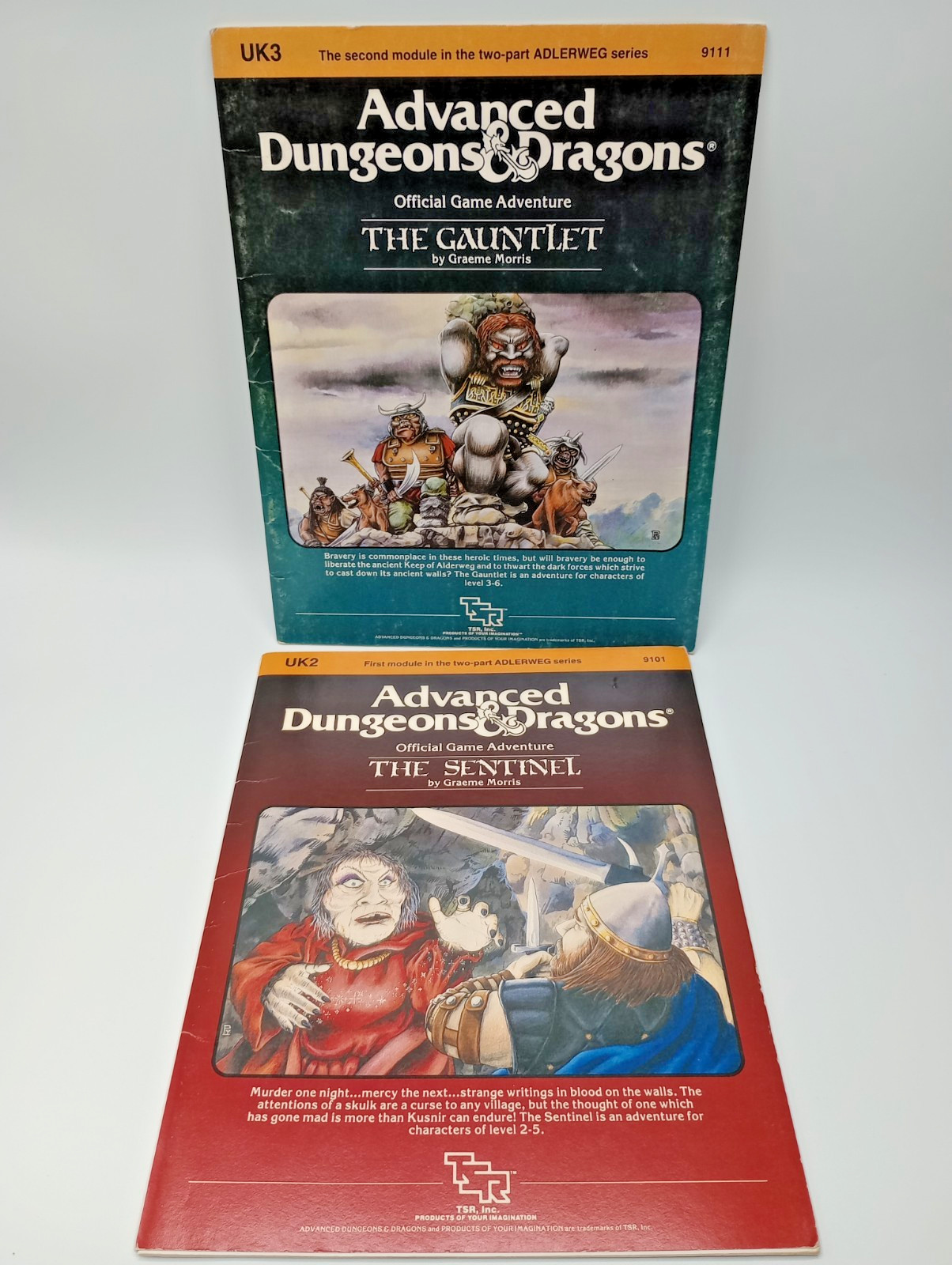 Advanced Dungeons & Dragons AD&D: The Gauntlet + The Sentinel  - Adlerweg Series