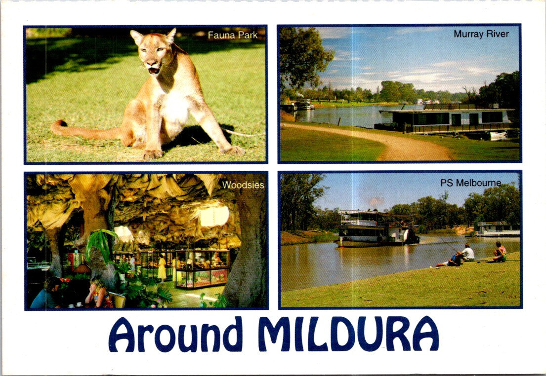 (935) 16-5-2025 - Australia - VIC - Around Mildura (with Fauna Park Lion)