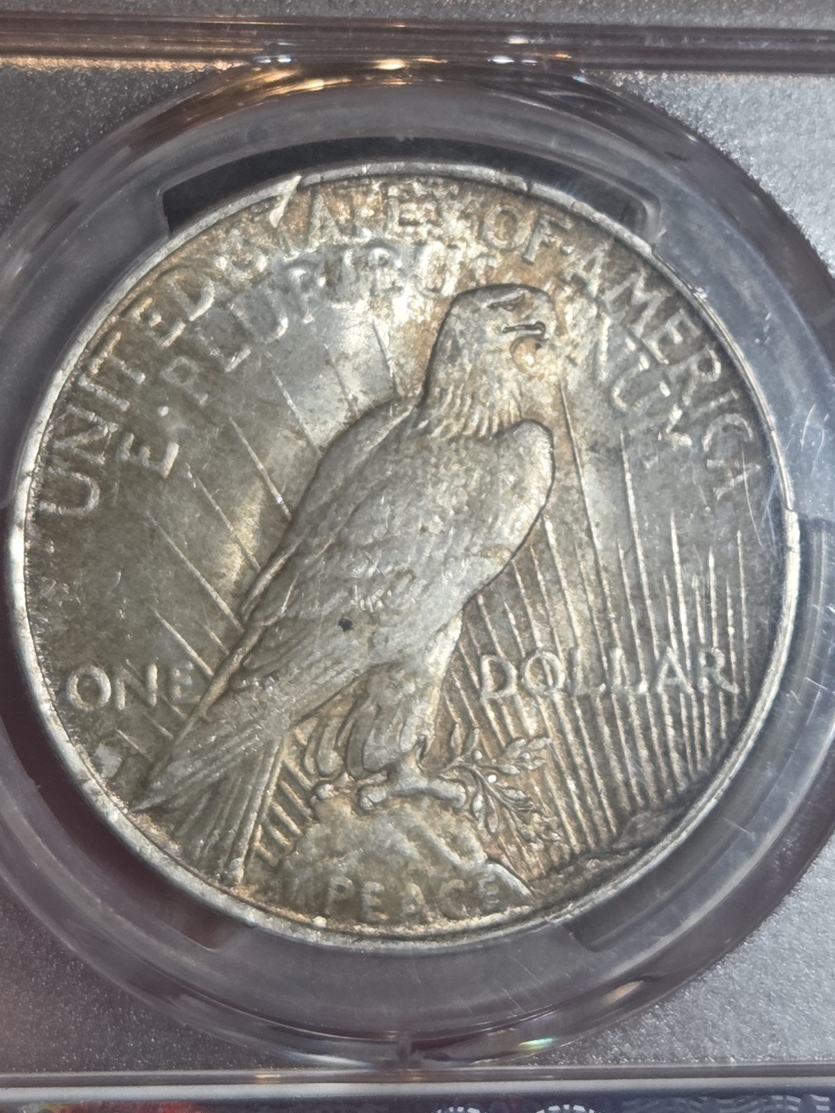 1923 $1 Peace Dollar PCGS MS62 Toned