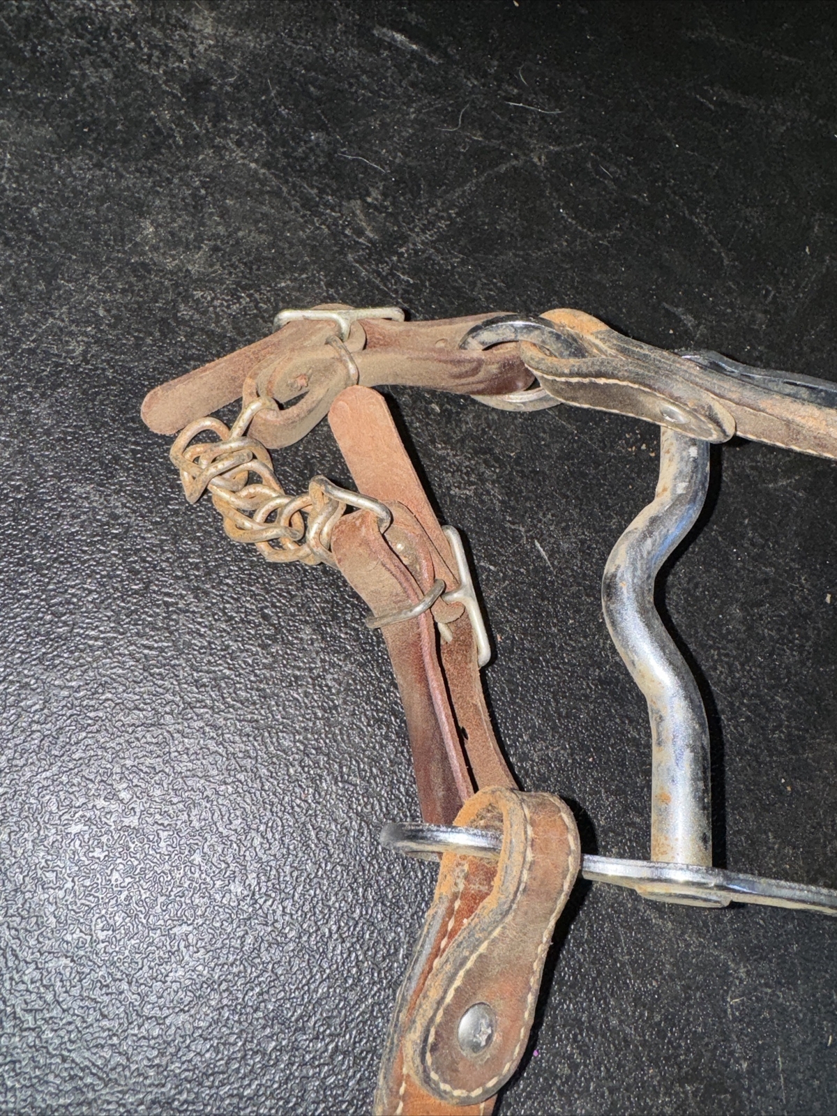 Western Bit 5” Width 7.5” Length With Leather Harness