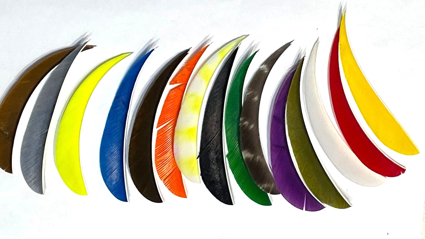 4" New,50 Pack LeftWing FREE SHIPPING!! Real Turkey Feather-Arrows& Darts