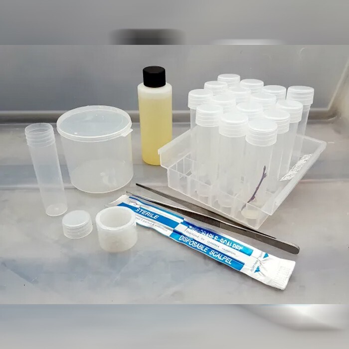 microCLONE Seed Starter Kit makes 1000's Rooted Clones without Mother Plants