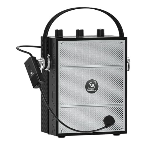Bluetooth 5.3 Voice Amplifier with Wireless Microphone Headset,Personal