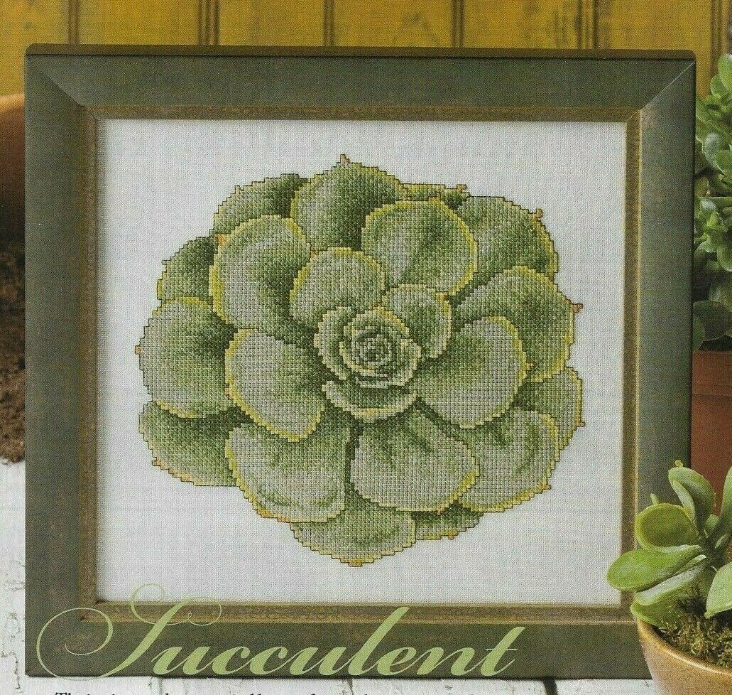 SUCCULENT PLANT HOME DECOR CROSS STITCH PATTERN INSTRUCTIONS