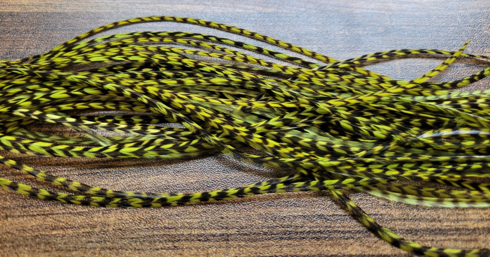 Full or Half Set Sized  OLIVE GRIZZLY Dry Fly Rooster Saddle Feathers Fly Tying