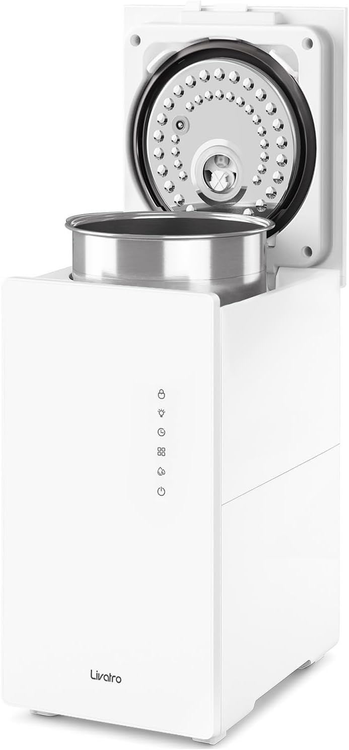 6L Warm Mist Humidifier for Bedroom, Easy Clean and Sleep Mode, Auto-Off Setting
