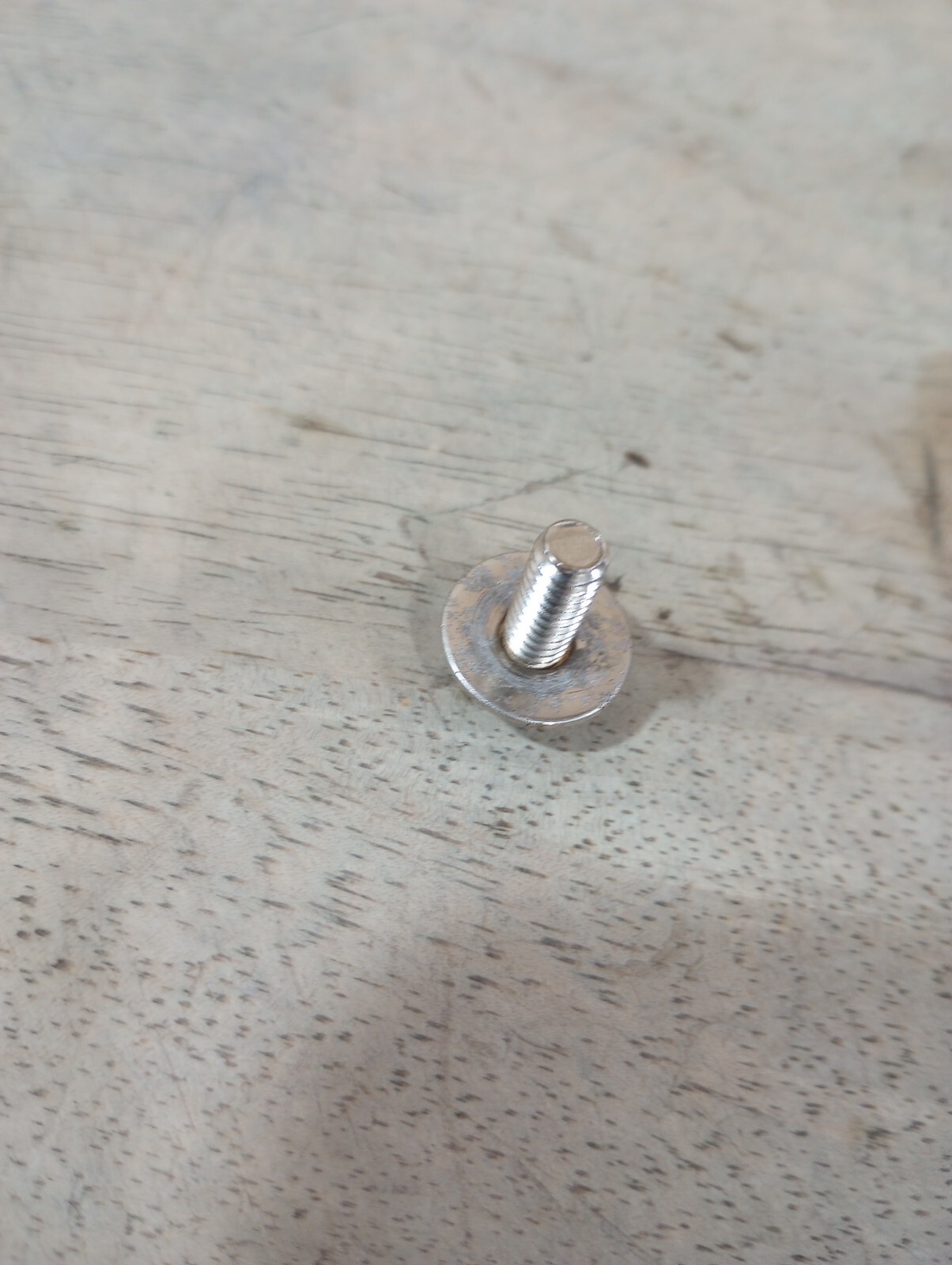 AFC Ashflash 1022 - Cage Bolt and Washer - Rust