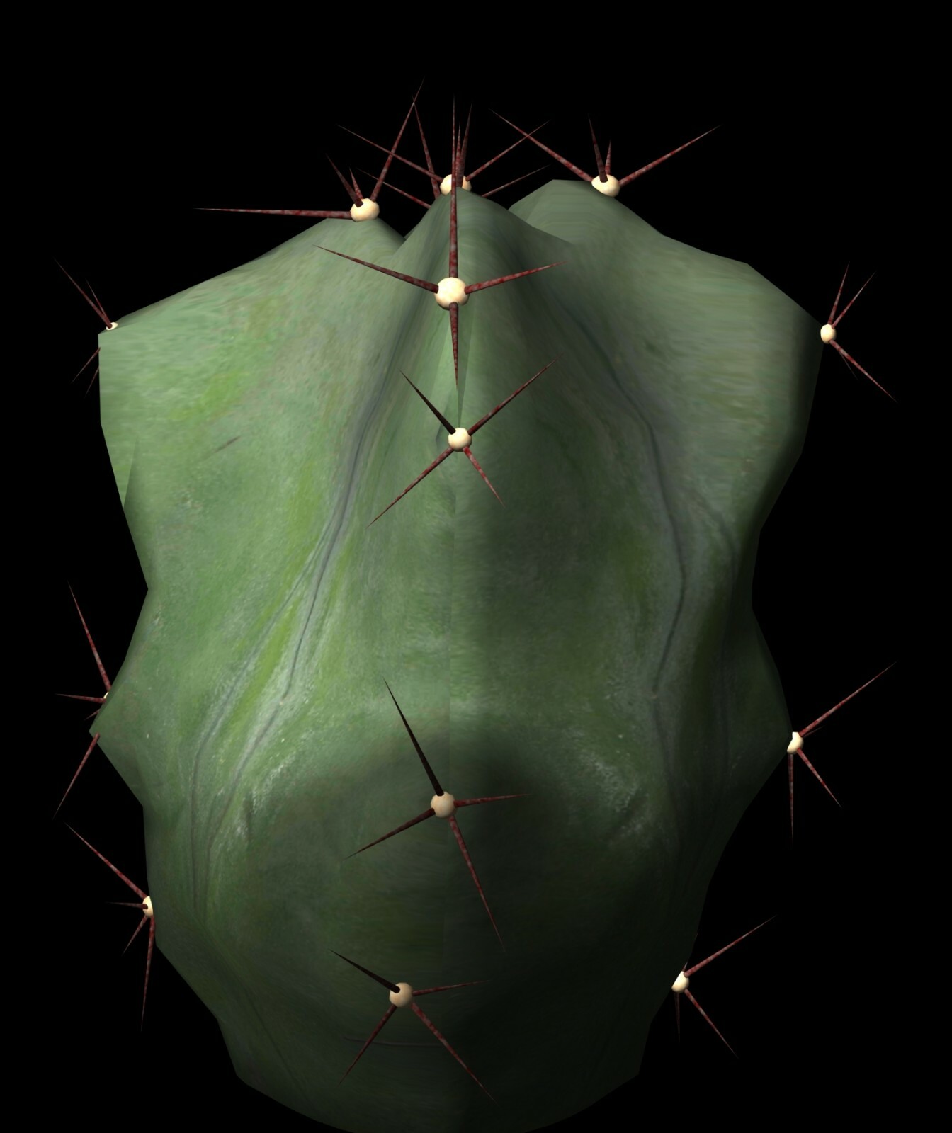 The Botanical 3D Models 75+ Fully Textured Flower & Plant Models in DXF Format
