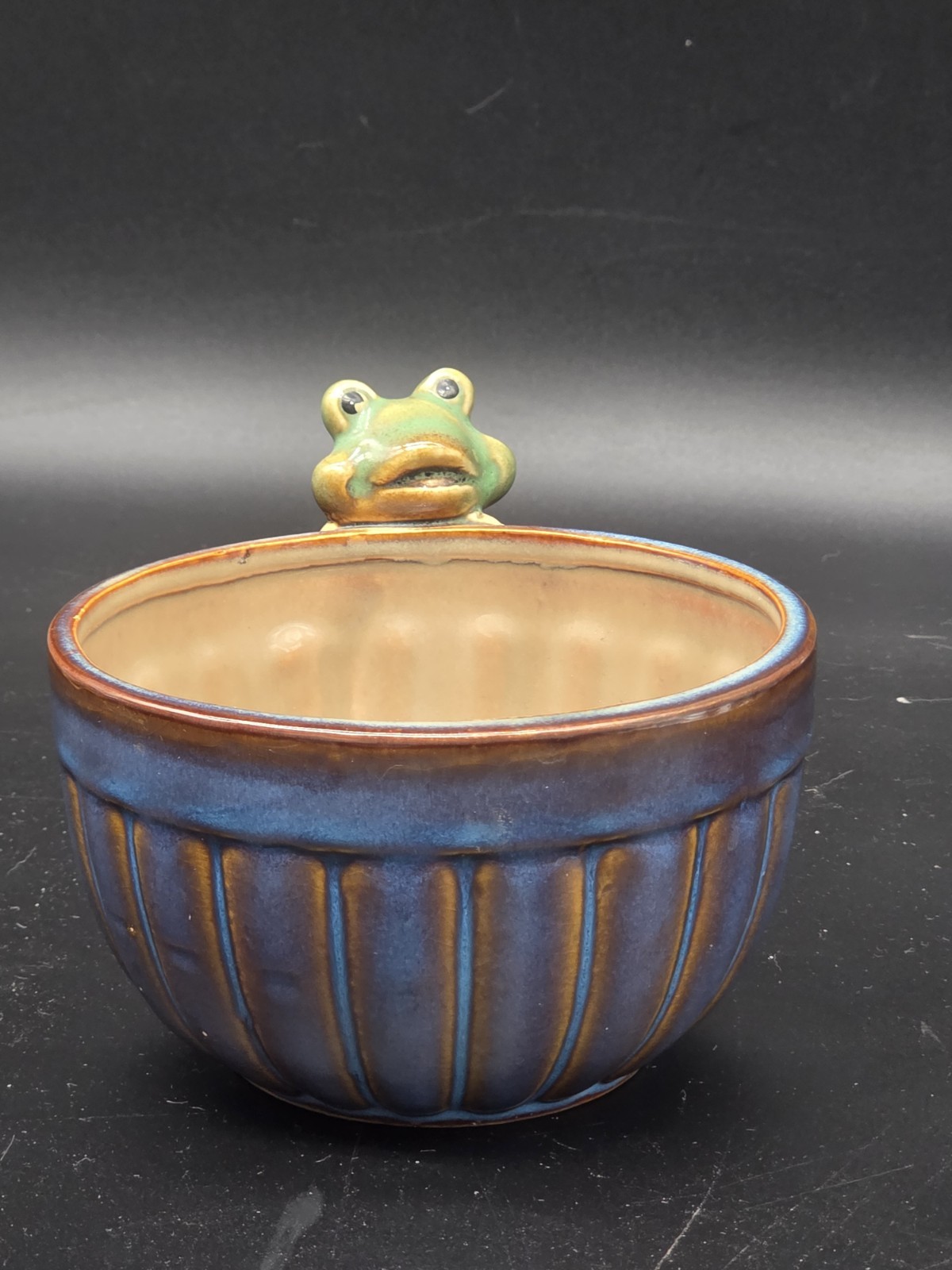 Blue Ceramic Planter Bowl with Frog  Succulent Pot