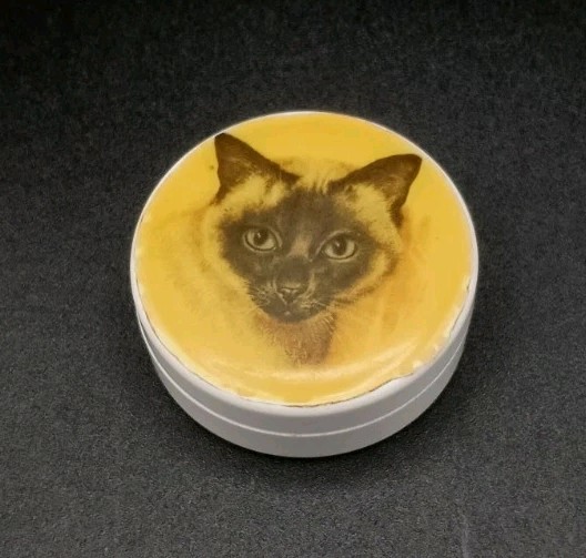 Colt Siamese Cat Pill Box Medicine Trinkets