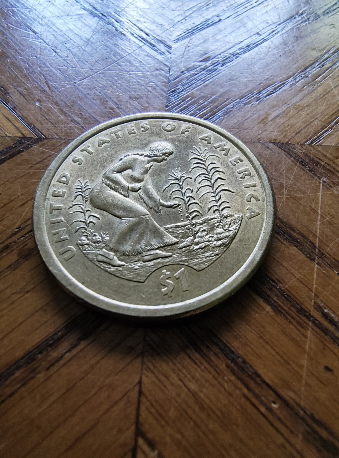 2009-D Native American Sacagawea Golden Dollar Coin - RARE