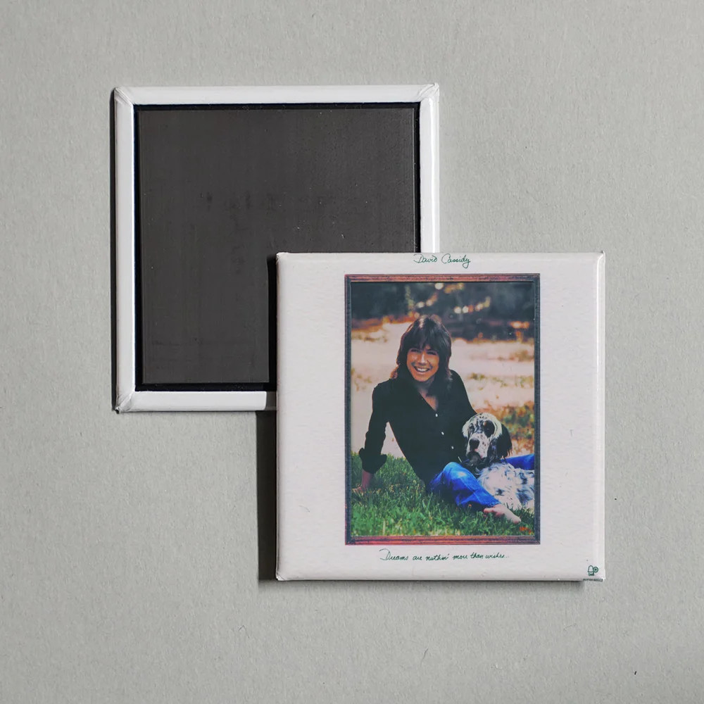 David Cassidy - Dreams Are Nuthin' More Than Wi Album Cover Locker Fridge Magnet