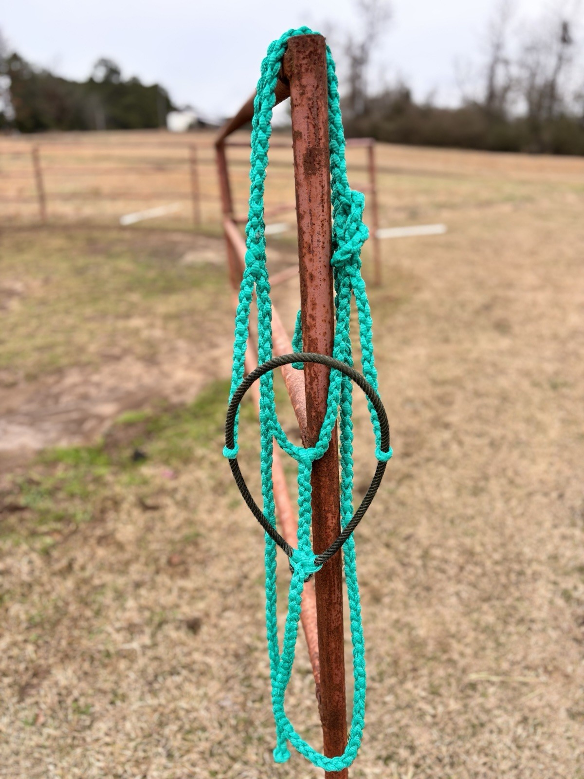 Muletape halters