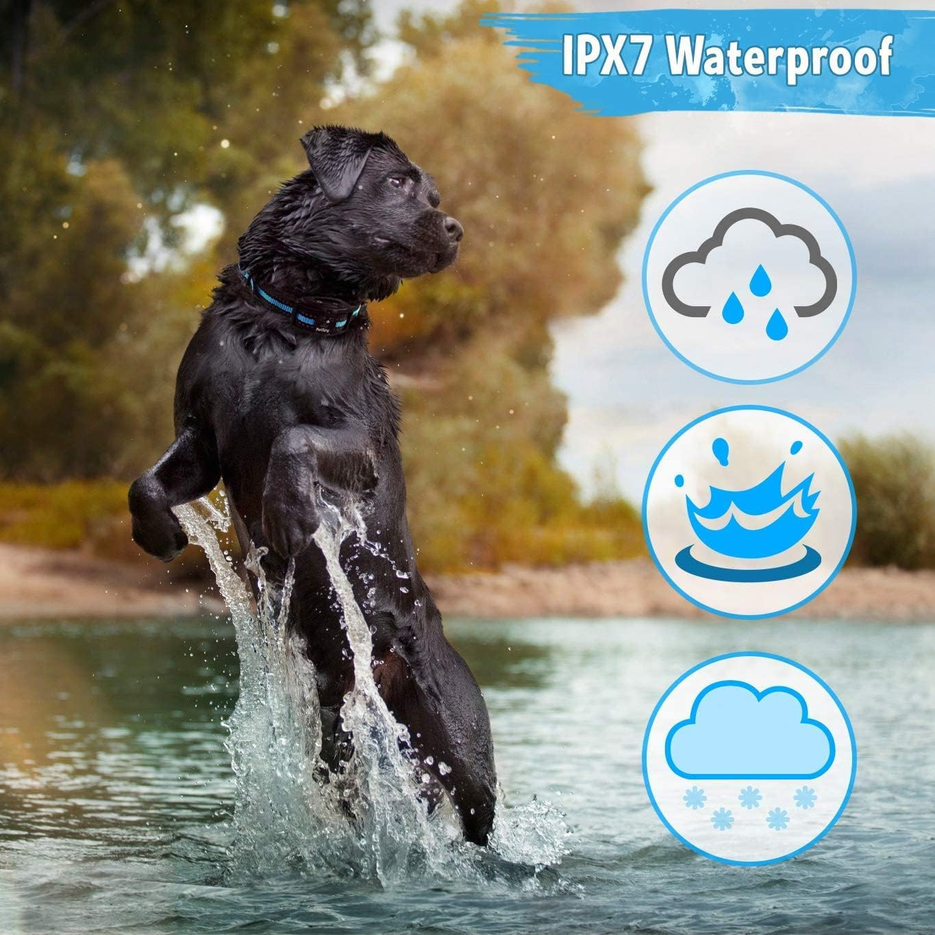 No Shock Bark Collar for Dogs Barking Control Humane Waterproof Training