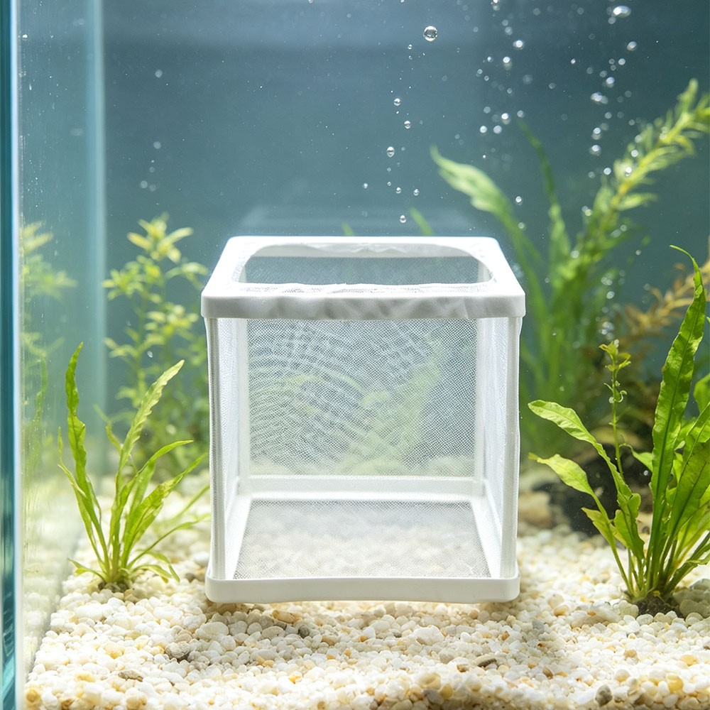 Fish Tank Isolation Net Fish Incubator Assistant Box Aquarium Fish Control Case