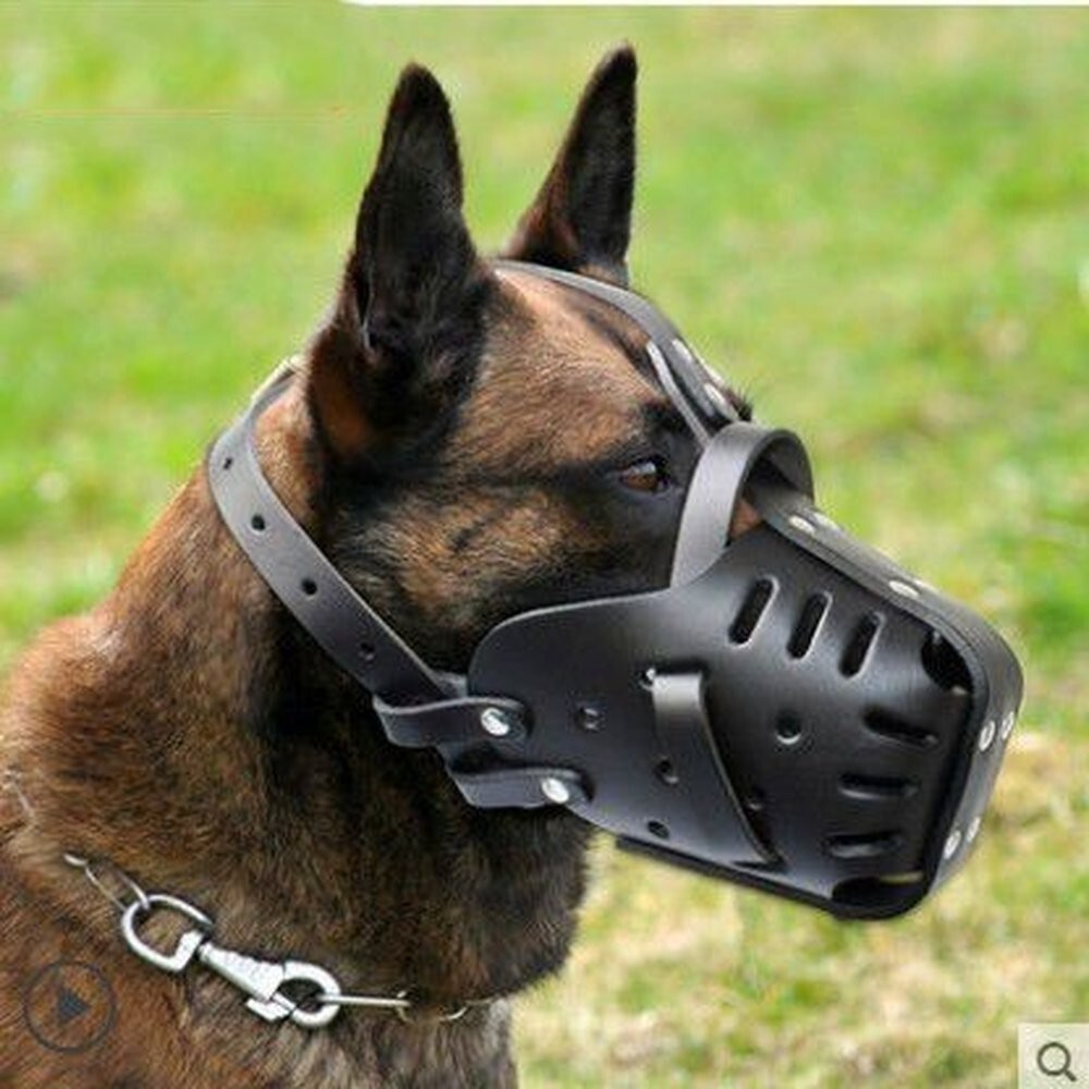 Cowhide Dog Muzzle Basket Medium and Large