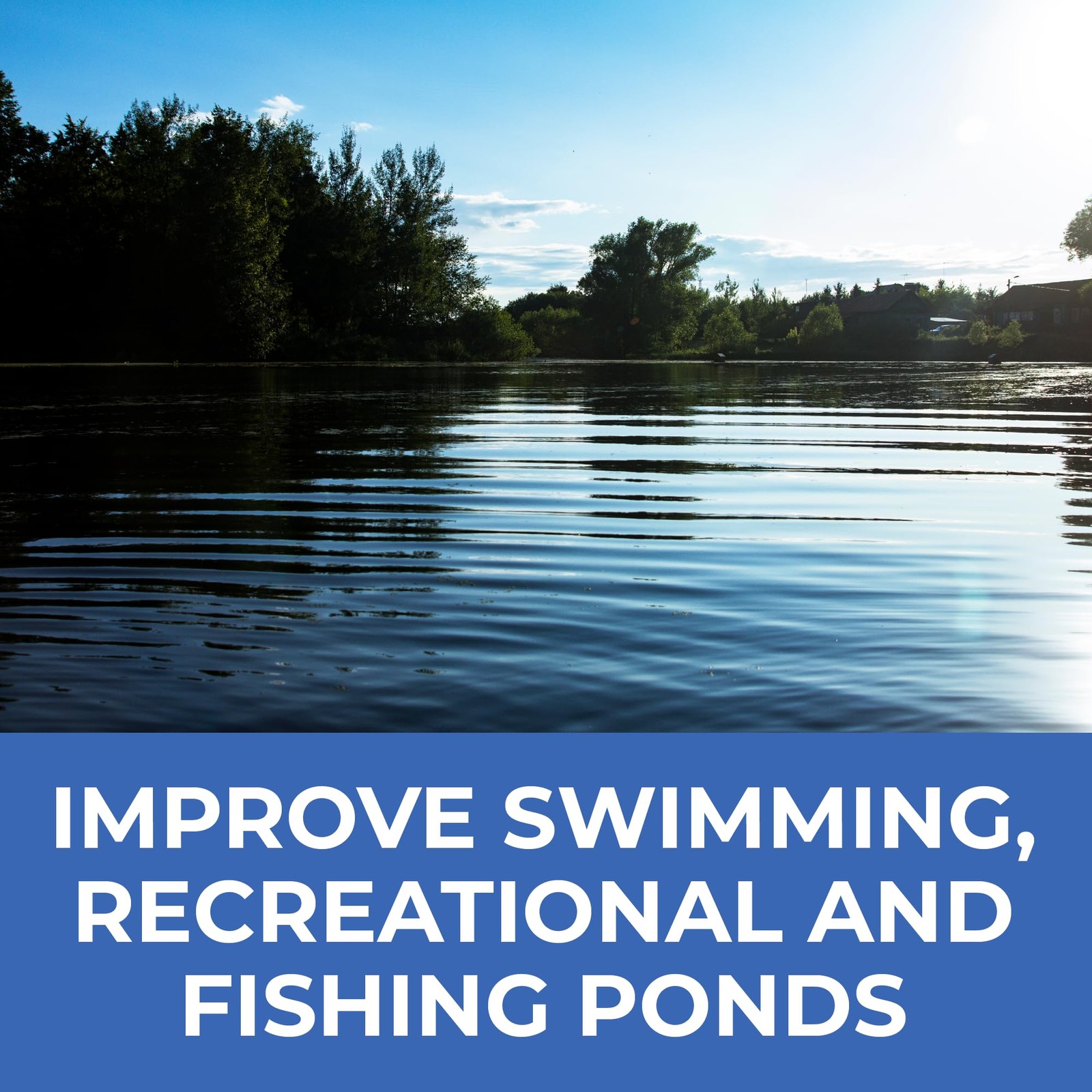 Ultimate Muck Reducer, Large Pond & Lake Beneficial Bacteria Treatment, Natur...