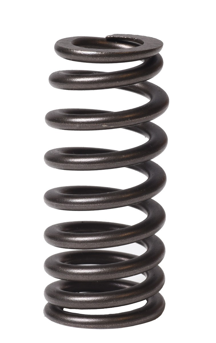 EngineTech Valve Spring Pack of 1