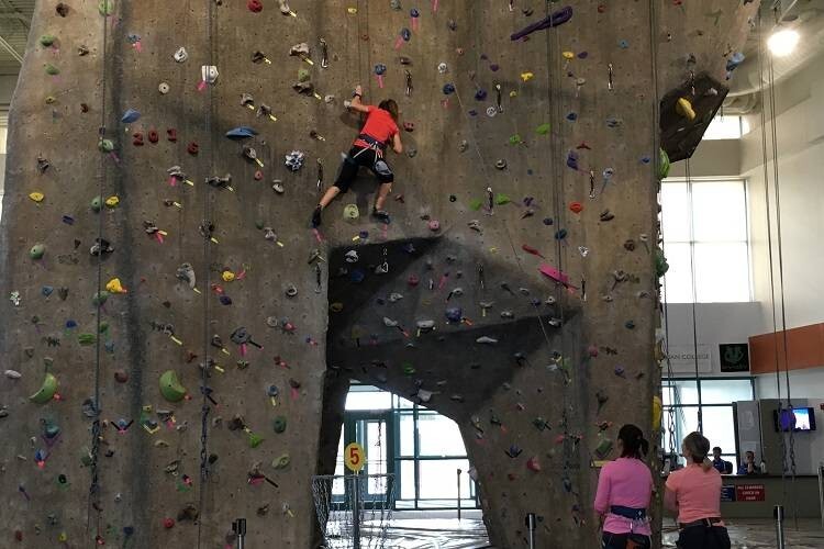 Indoor Rock-Climbing Wall Service Business Plan