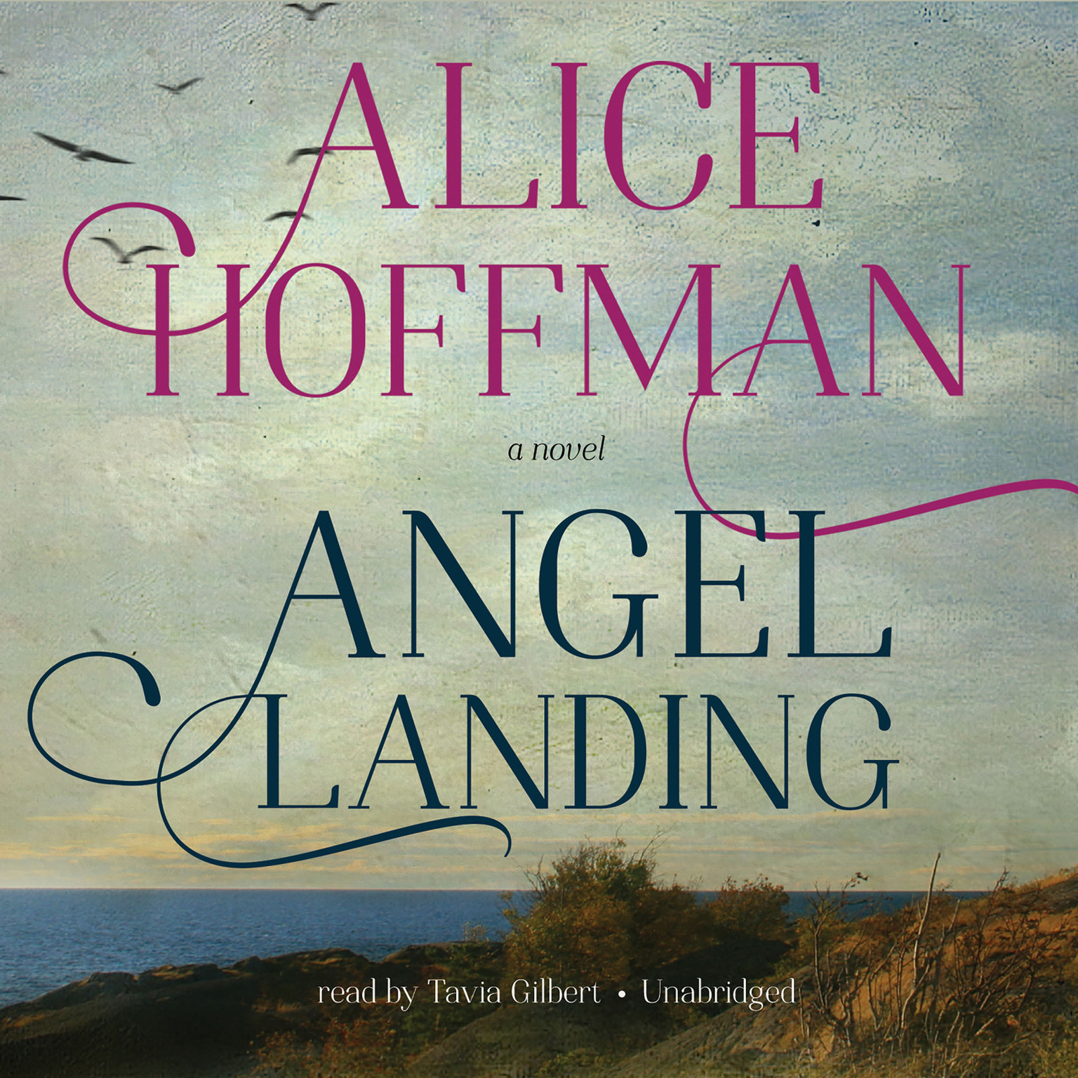 Angel Landing by Alice Hoffman 2014 Unabridged CD 9781483020761