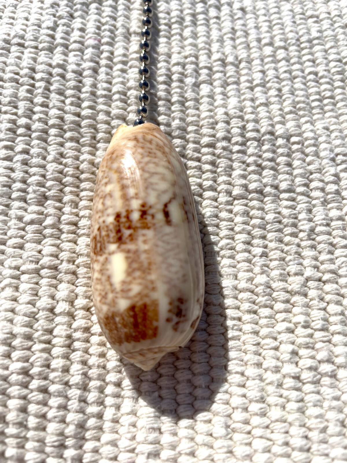 LETTERED OLIVE SHELL FAN PULL Seashell FAN PULL Chain Shell Ceiling Fan Pull