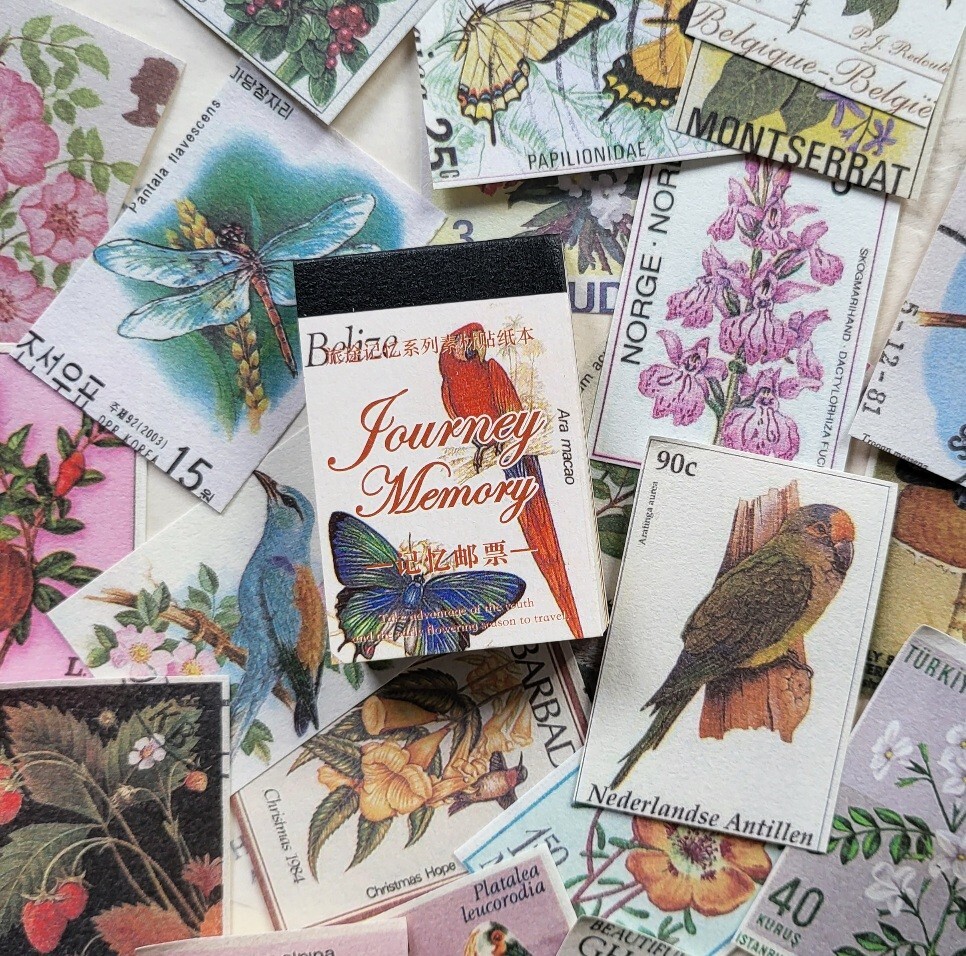 Bird Butterfly Animal nature craft Scrapbooking DIY Paper Mini Book 80 pages
