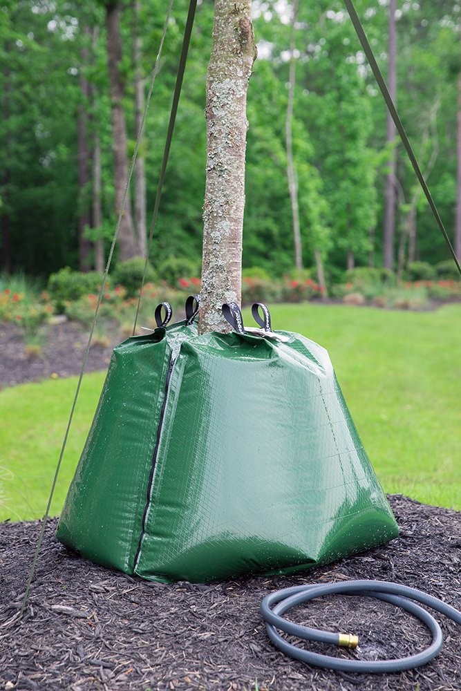 TreeGator Tree Watering Bag - Pack of 5