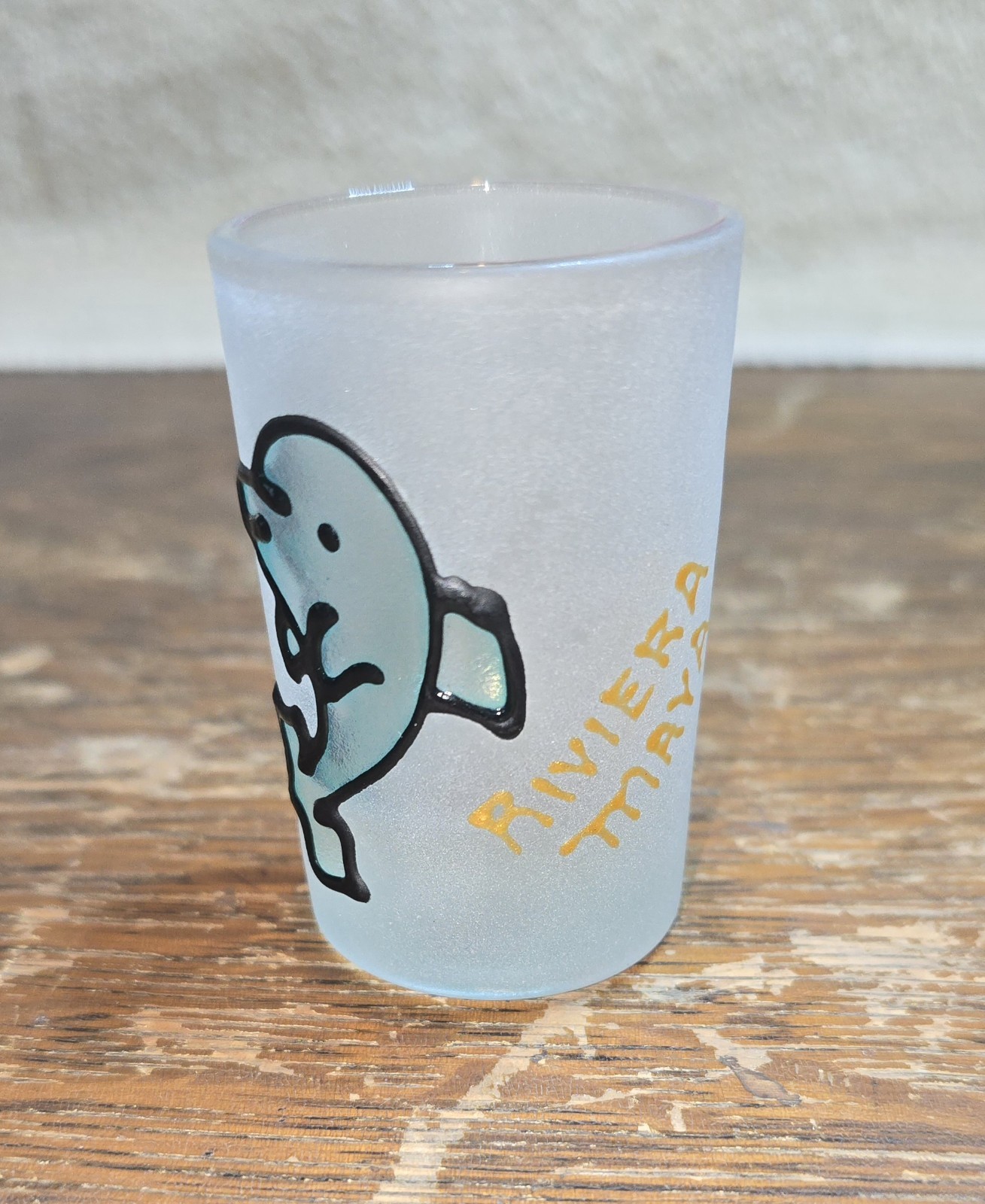 RIVIERA MAYA Souvenir Shot Glass Frosted Shot Glass 2 3/4" Tall
