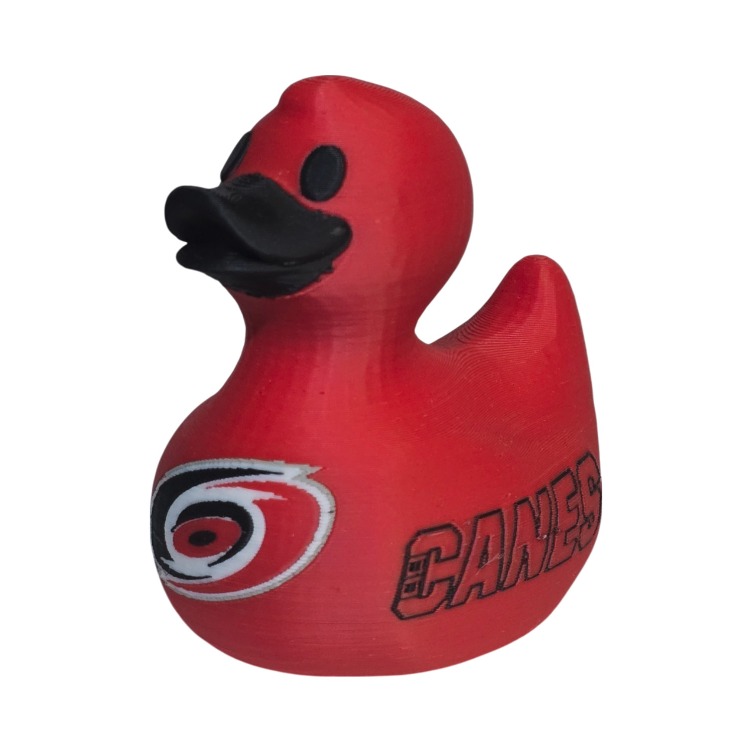 Carolina Hurricanes Duck