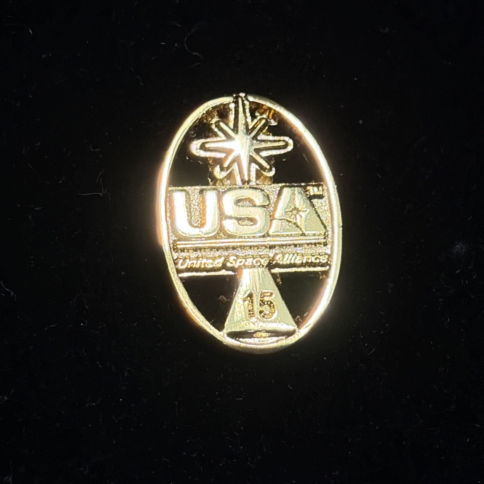 United Space Alliance 15 Year Pin