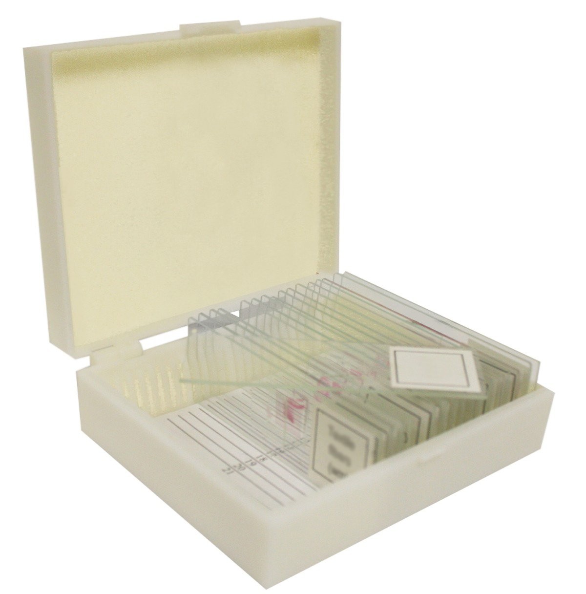 B17115 Prepared Slide Set-Human Pathology (Pack of 12)