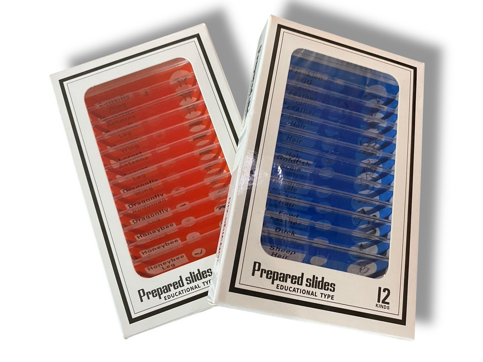 24 Pcs Prepared Microscope Slides Specimen Set Educational Microscope Accessory